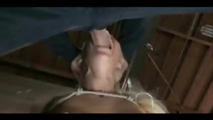 برندا boop من اولین جوراب سکسی ساق بلند بار از مقعد با